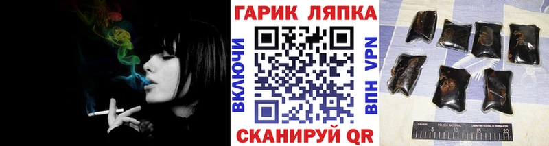 Купить закладки  Моздок  ГАШИШ индика сатива 