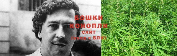 прущая мука Каменногорск
